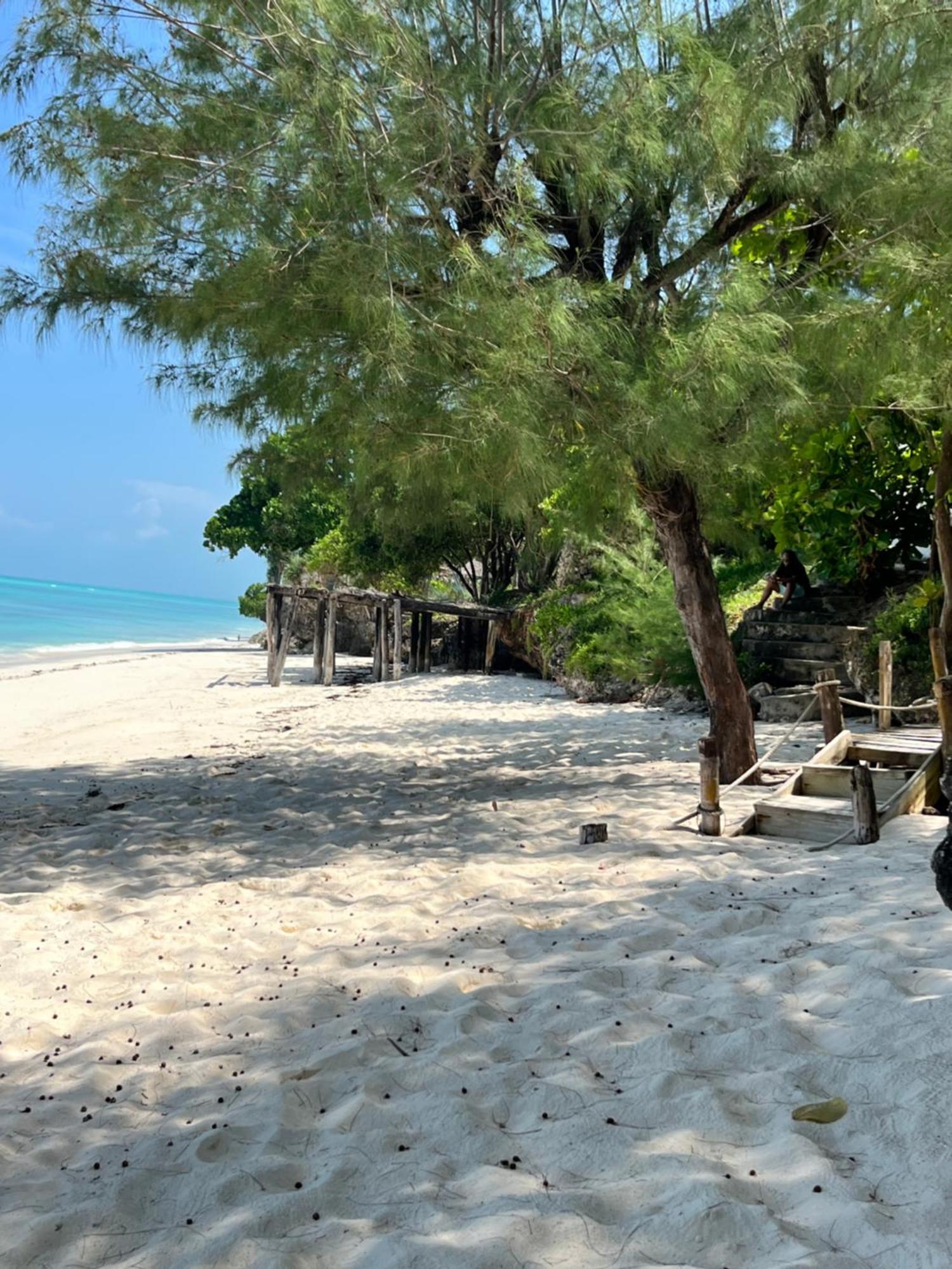 Sazani Beach Lodge And Tidal Lounge นูงวี ภายนอก รูปภาพ