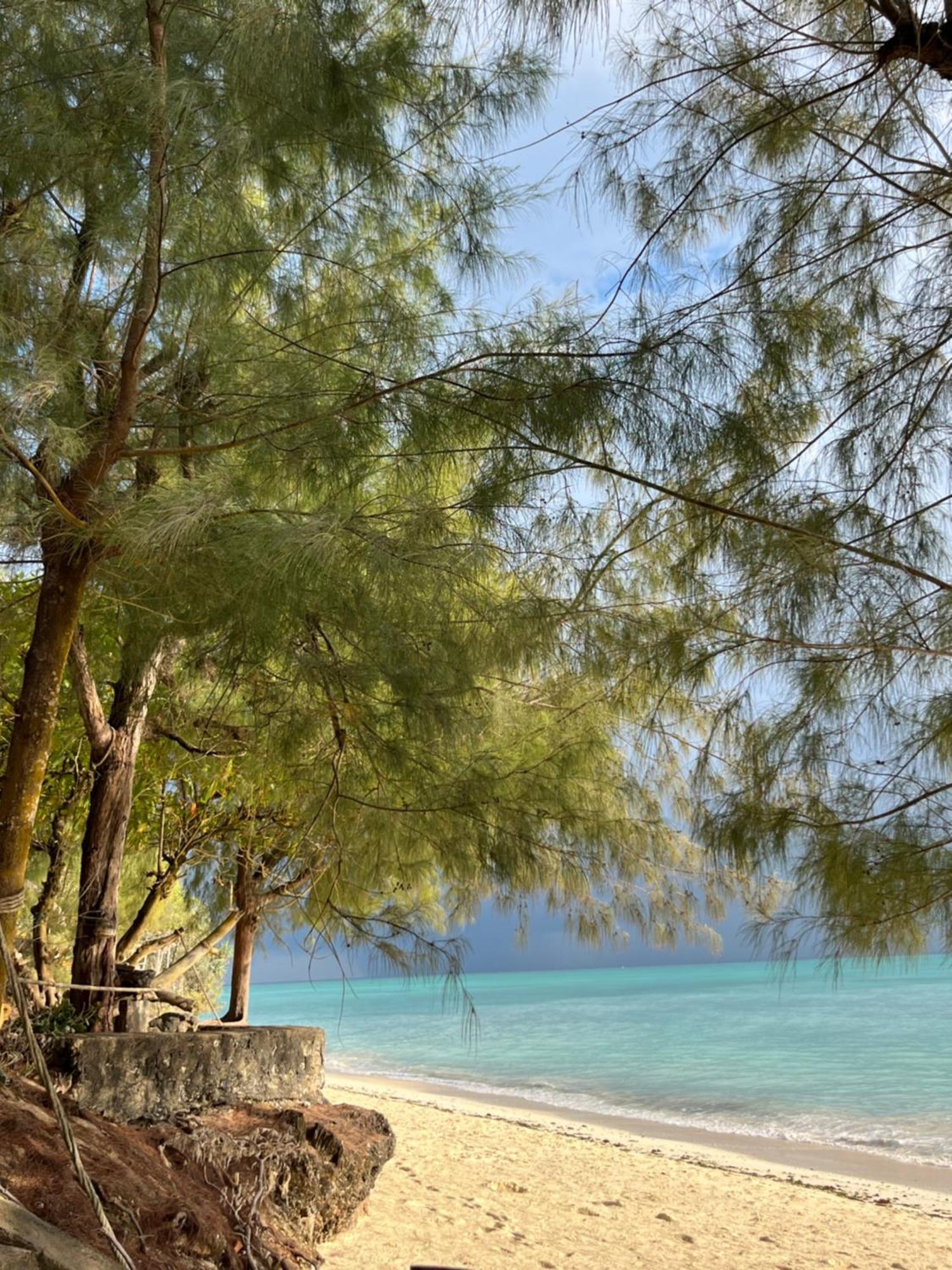 Sazani Beach Lodge And Tidal Lounge นูงวี ภายนอก รูปภาพ